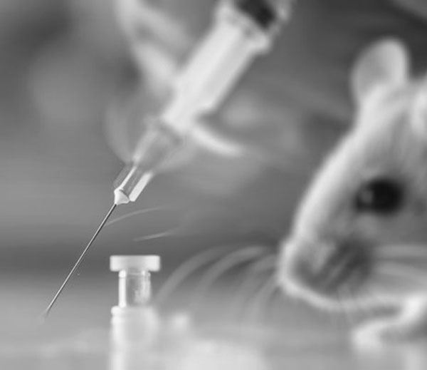 veterinary needles products